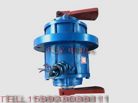 0.75KW振動(dòng)電機(jī) 0.75KW振動(dòng)電機(jī)